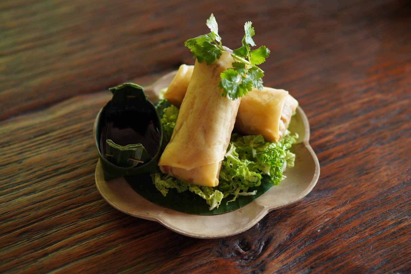 Spring Rolls by TEMPLE by Ginger Moon